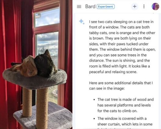 Bard is now connected to Google Lens. What can it do? – Marie Haynes