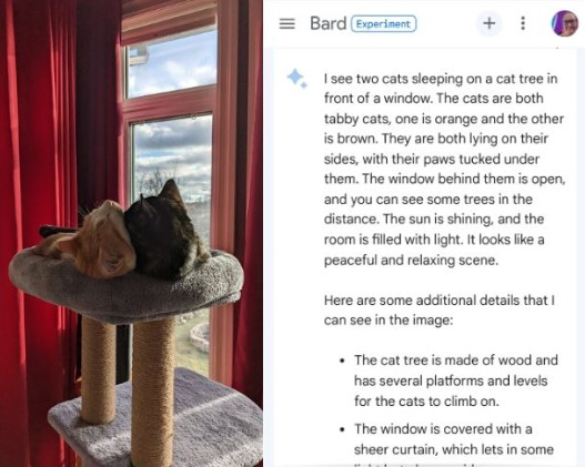 Bard is now connected to Google Lens. What can it do? – Marie Haynes
