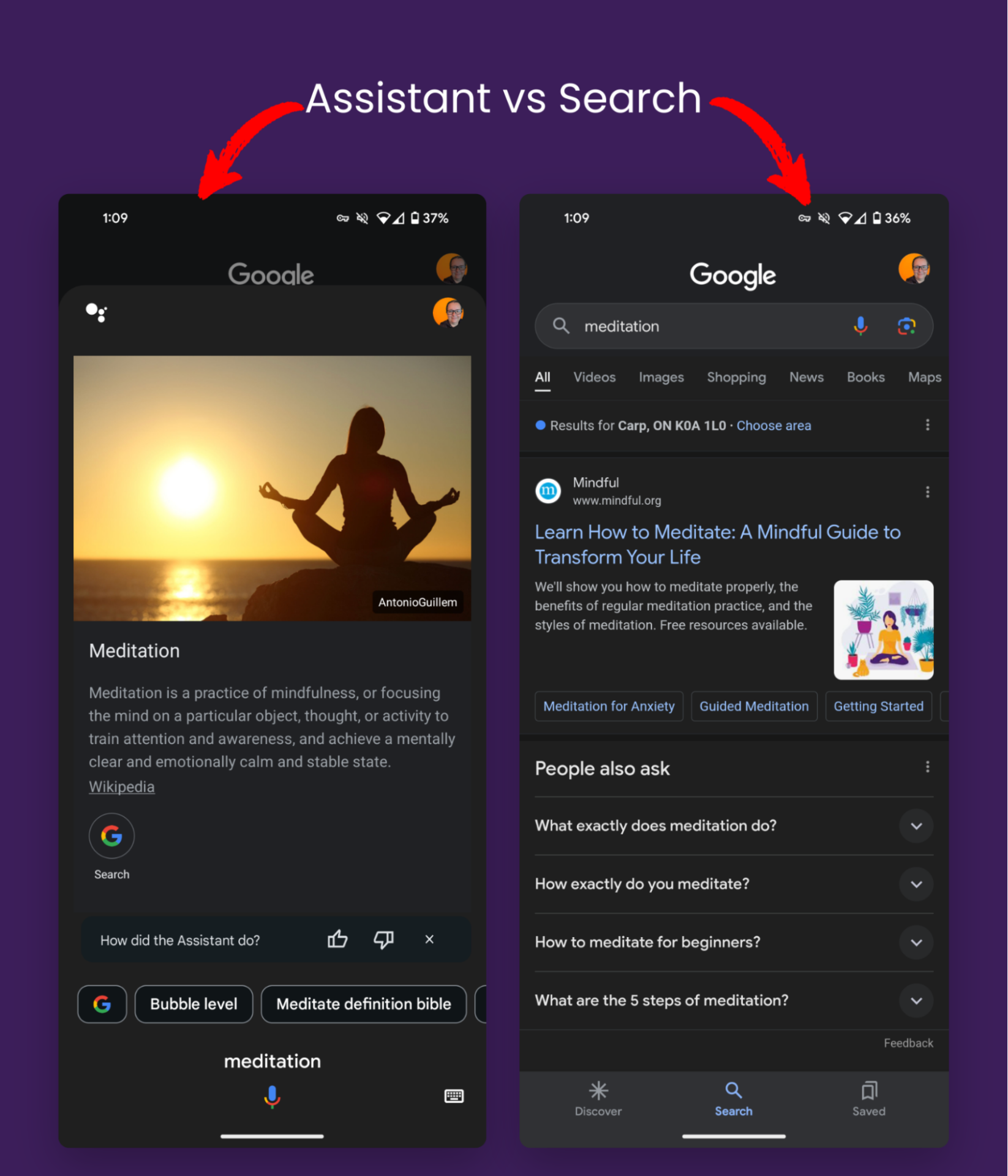 Assistant and Search. Did Google just quietly launch a new Search Ecosystem? – Marie Haynes