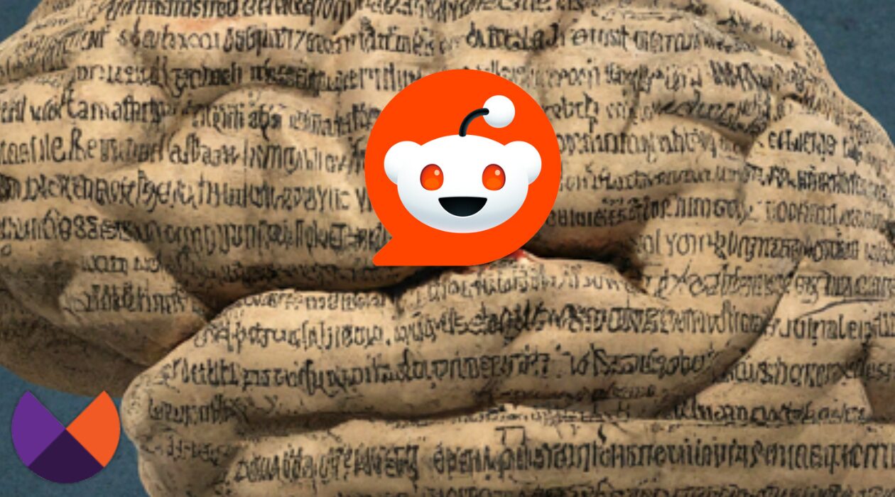 Some thoughts on why Reddit is all over your search results – Marie Haynes